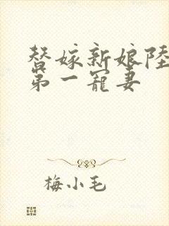 替嫁新娘陆总的第一宠妻