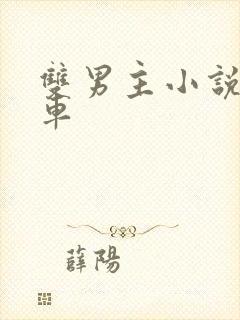 双男主小说推文车封面