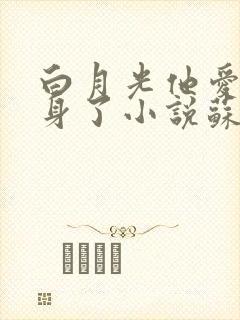 白月光他爱上替身了小说苏以尘