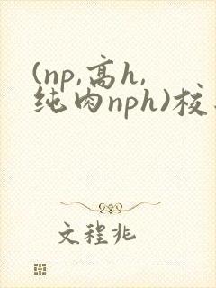 (np,高h,纯肉nph)校园