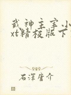 武神主宰小说txt精校版下载封面