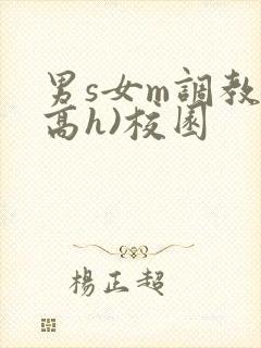 男s女m调教(高h)校园