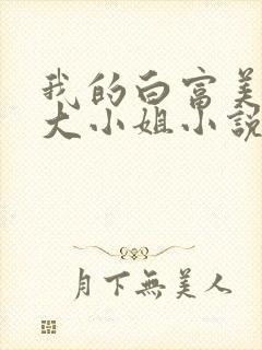 我的白富美千金大小姐小说txt封面