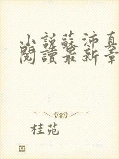 小说苏沛真全文阅读最新章节更新时间