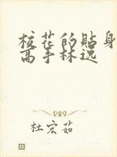 校花的贴身高手高手林逸