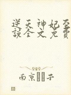 逆天神妃至上小说全文免费阅读