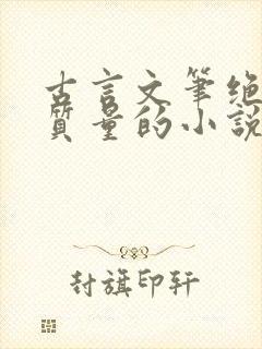 古言文笔绝佳高质量的小说封面