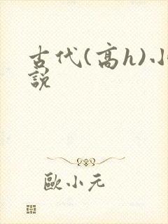 古代(高h)小说