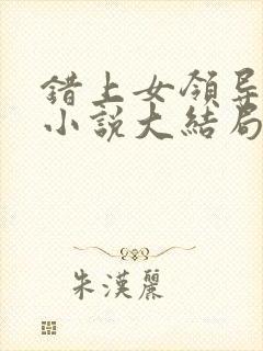 错上女领导官场小说大结局