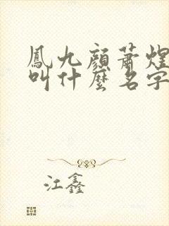 凤九颜萧煜小说叫什么名字