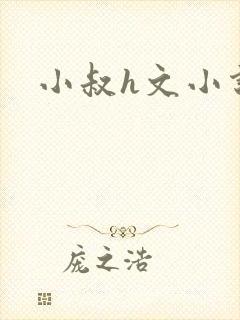 小叔h文小说封面