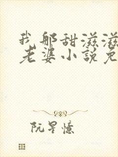 我那甜滋滋又多老婆小说免费阅读