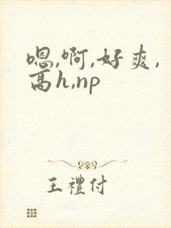 嗯,啊,好爽,高h,np封面