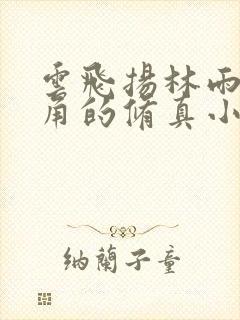 云飞扬林雨初主角的修真小说封面