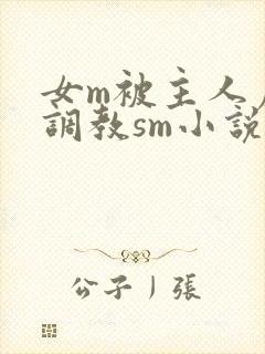 女m被主人虐玩调教sm小说