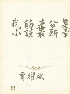 我的老公是条狗小说最新章节封面