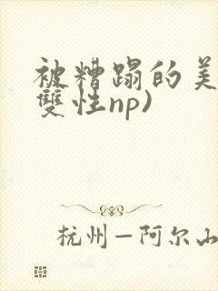 被糟蹋的美人(双性np)