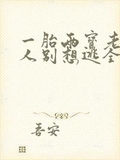 一胎两宝老婆大人别想逃全文免费阅读