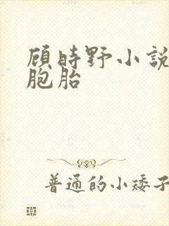 顾时野小说,三胞胎