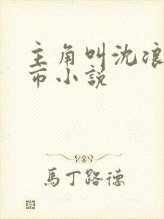 主角叫沈浪的都市小说