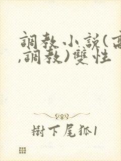 调教小说(高h,调教)双性