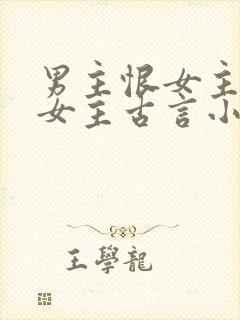 男主恨女主报复女主古言小说