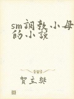 sm调教小母狗的小说封面