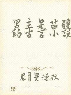 男主是苗疆少年的古言小说封面