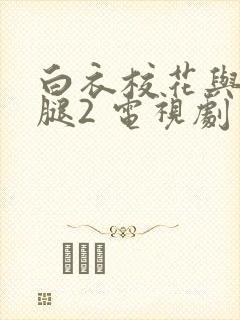 白衣校花与大长腿2 电视剧封面