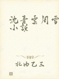 沈青云周雪官场小说