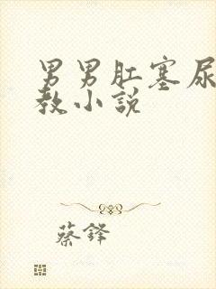 男男肛塞尿道调教小说封面