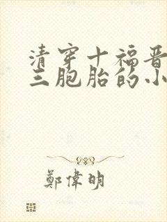 清穿十福晋生了三胞胎的小说