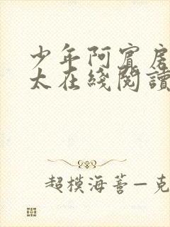 少年阿宾房东太太在线阅读封面