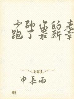 少帅你的老婆又跑了最新章节免费阅读