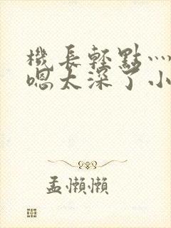 机长轻点灬太粗嗯太深了小说封面