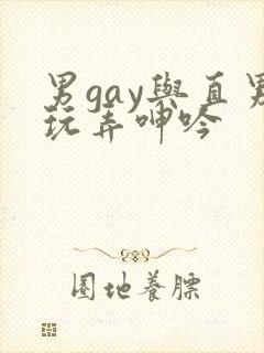 男gay与直男玩弄呻吟