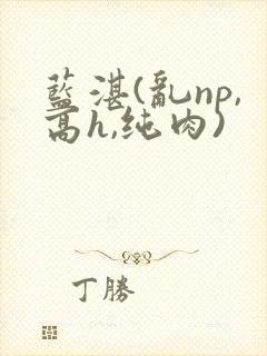 蓝湛(乱np,高h,纯肉)封面