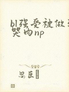bl强受被做到哭肉np