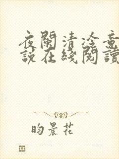 夜阑清冷意欢小说在线阅读