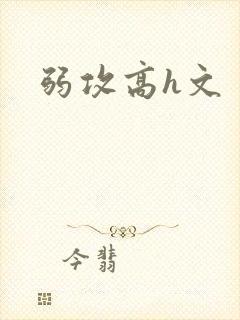 弱攻高h文