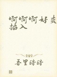 啊啊啊好爽用力插入