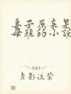 妻子原来是亲生母亲的小说