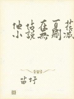 他站在夏花绚烂小说无删减正版在线阅读