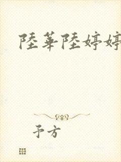 陆华陆婷婷封面