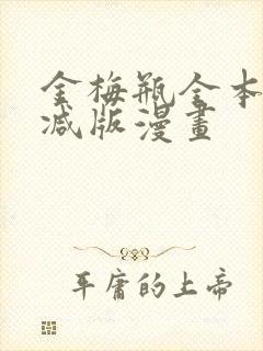 金梅瓶全本无删减版漫画