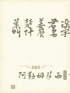 叶楚姜君瑶小说叫什么名字