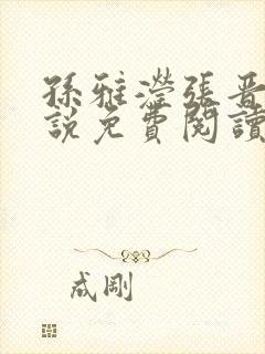 孙雅滢张晋的小说免费阅读无弹窗