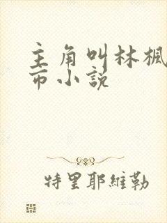 主角叫林枫的都市小说