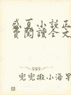 盛夏小说正版免费阅读全文无弹窗