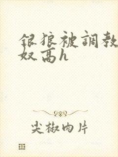 银狼被调教成肉奴高h